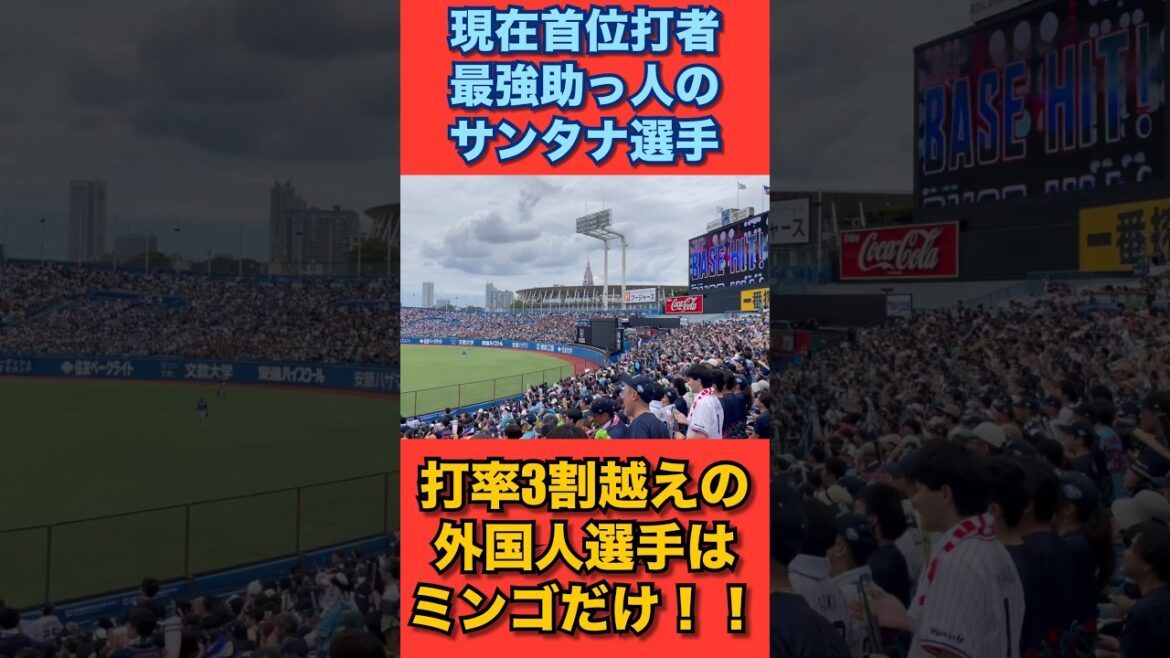 現在首位打者の最強助っ人『サンタナ選手』打率3割越えの外国人は近年居ないよねー! #swallows #ヤクルト #スワローズ #ヤり返せ #サンタナ #首位打者 #助っ人大リーガー 現在首位打者の最強助っ人『サンタナ選手』打率3割越えの外国人は近年居ないよねー! #swallows #ヤクルト #スワローズ #ヤり返せ #サンタナ #首位打者 #助っ人大リーガー