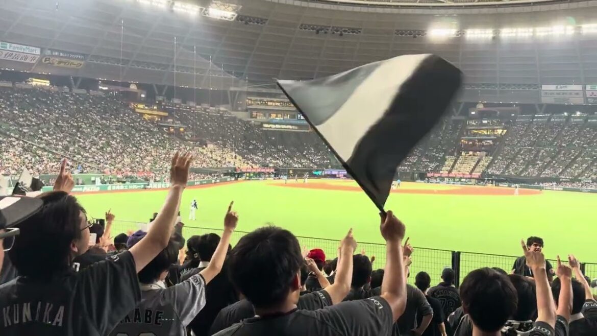 夏限定応援歌→中村奨吾応援歌  2024/7/5(金) ライオンズ vs ロッテ #chibalotte