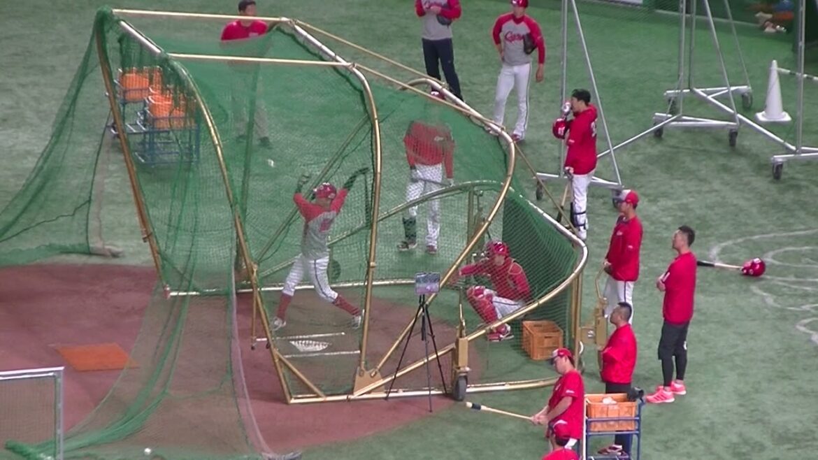 広島 大盛 穂のフリーバッティング（2024年6月28日読売ジャイアンツ対 広島カープ）