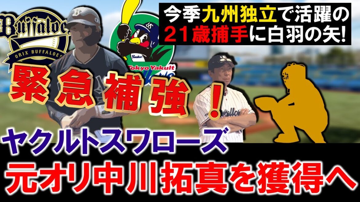 【やはり緊急補強敢行！】ヤクルトが昨年オリックス戦力外の火の国サラマンダーズ『中川拓真』捕手を支配下で獲得へ！怪我人が続出し苦しくなっていたキャッチャー事情を正すために若き２１歳に白羽の矢！