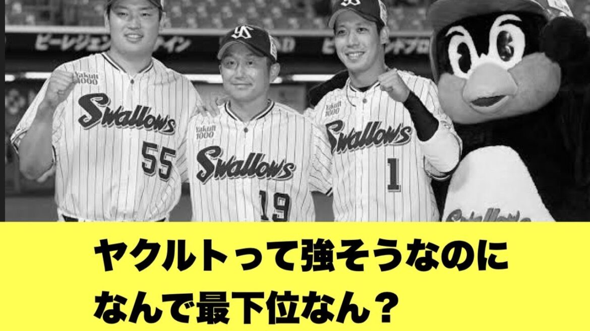 【議論】なんでヤクルトって最下位なん？【2ちゃんねる反応集】【プロ野球反応まとめ】【ヤクルトスワローズ】