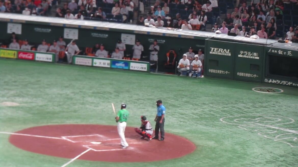 サイスニードを打ち取る場面と巨人ベンチ（2024年6月22日 読売ジャイアンツ対ヤクルトスワローズ）