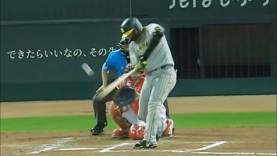 【引っ張り禁止指令】4番の大山に徹底した右打ち&エンドランのサインを出す岡田監督。前の打席では変化球を引っ掛けて併殺打 2024.7.3