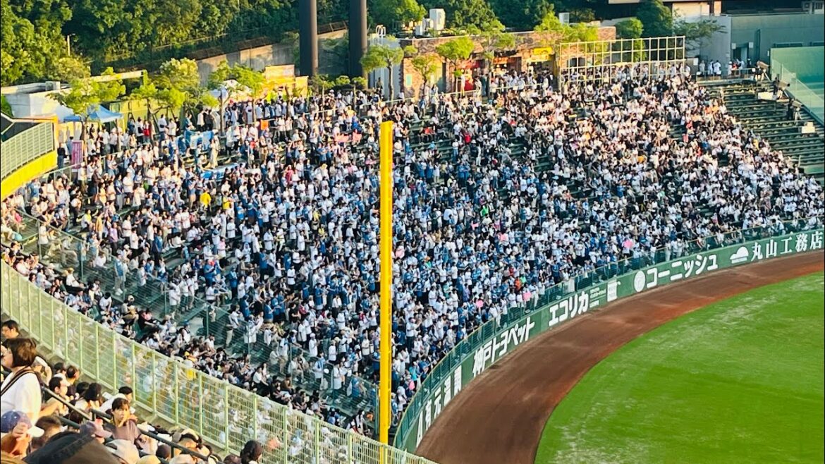 【Visitor神戸】北海道日本ハムファイターズ 応援歌集（2024）
