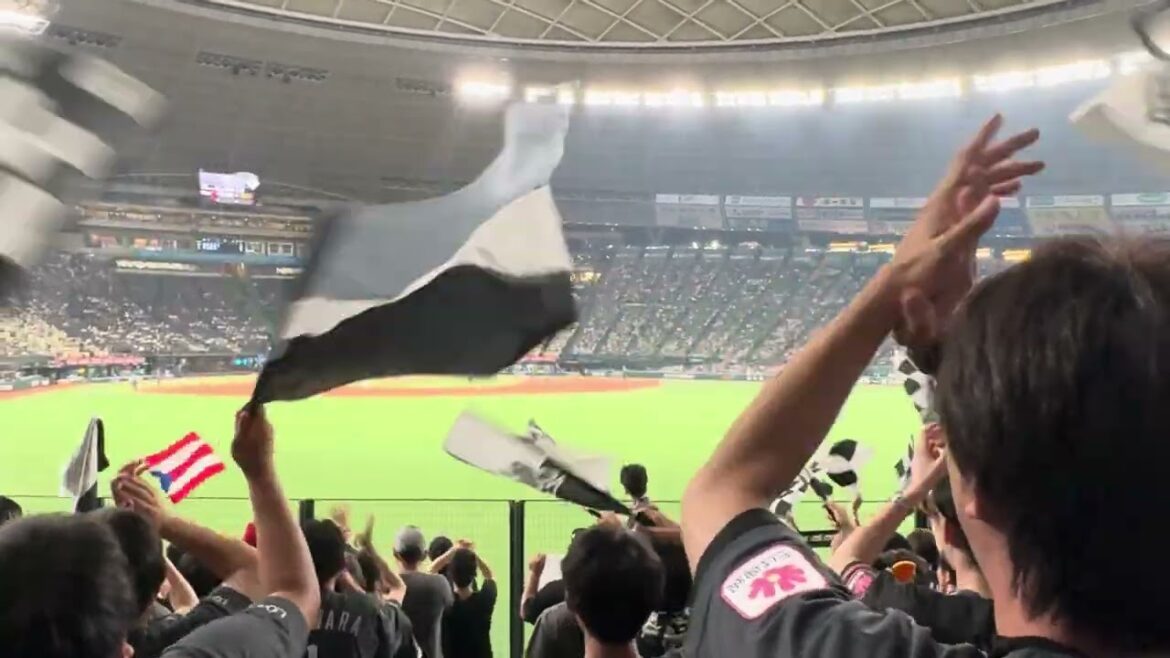 I’s My Life  2024/7/5(金) ライオンズ vs ロッテ #chibalotte