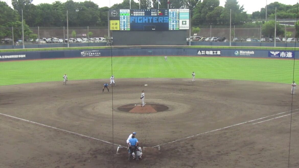 ジャイアンツ鈴木康平にデッドボールをくらう梅林優貴＜日本ハムファイターズ対 読売ジャイアンツ2024年6月25日＞