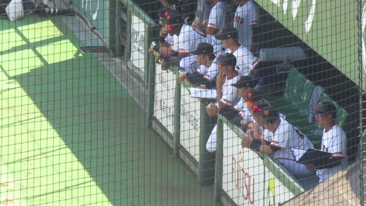 ランナー出した小沼健太を応援するベンチの浅野翔吾など＜読売ジャイアンツ対 セガサミー2024年6月19日＞