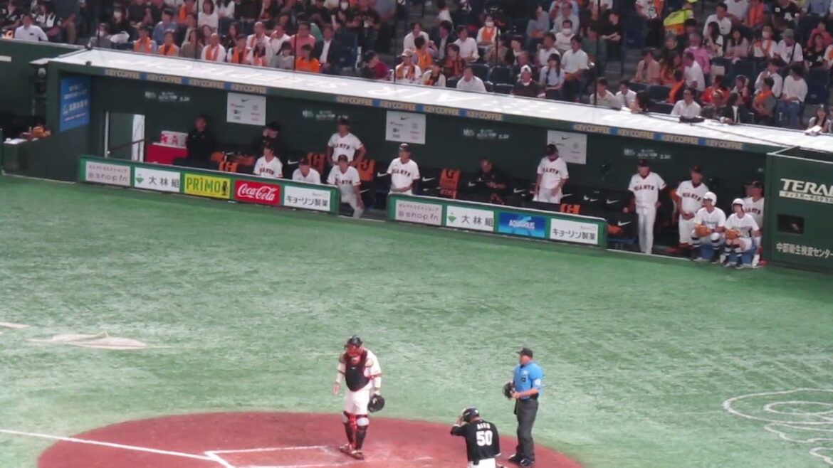 ピンチで愛斗を三振に取った井上温大に拍手を送る巨人ベンチ＜読売ジャイアンツ対 千葉ロッテマリーンズ2024年6月6日＞