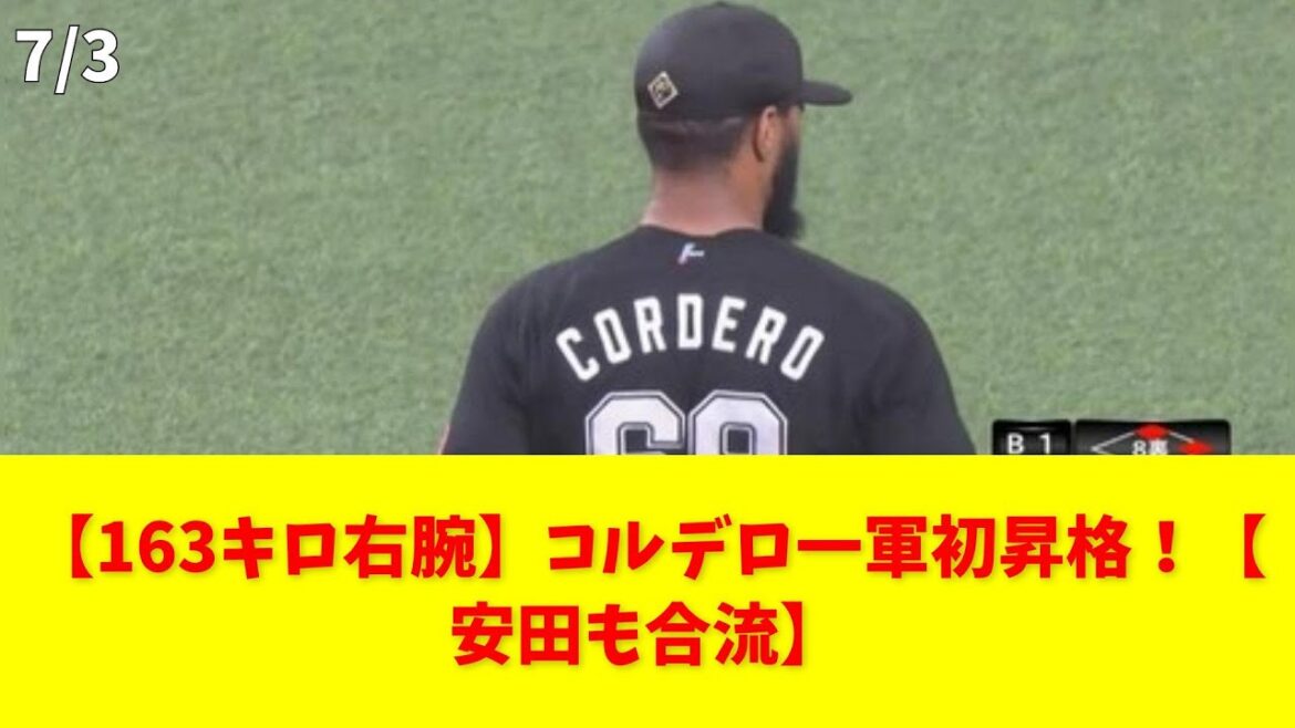【163キロ右腕】コルデロ一軍初昇格！【安田も合流】 #千葉ロッテマリーンズ #安田尚憲 #ジミー・コルデロ #一軍合流 #秘密兵器