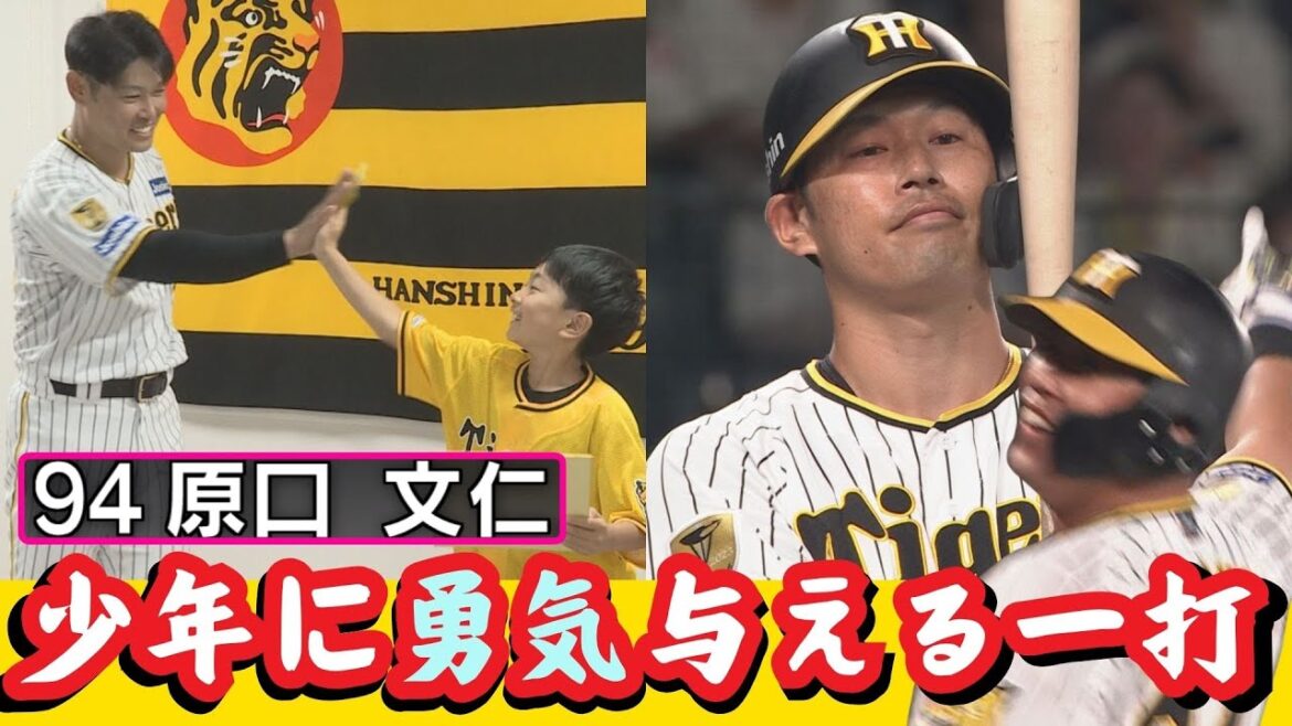 【ロングハイライト】原口文仁選手 少年に勇気を与える一打が生まれるまで（2024年7月7日 阪神6ー5DeNA） #サンテレビボックス席