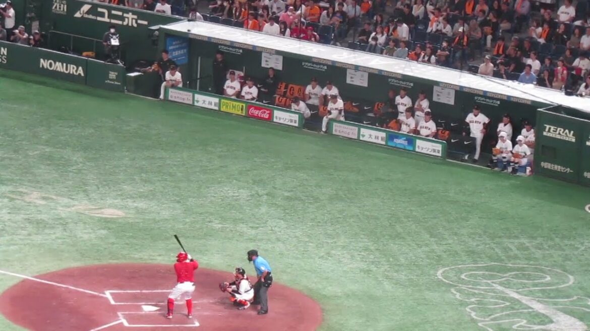 會澤翼を三振でグリフィンで迎えに向かうジャイアンツベンチ選手たち（読売ジャイアンツ対 広島カープ 2024年6月29日）