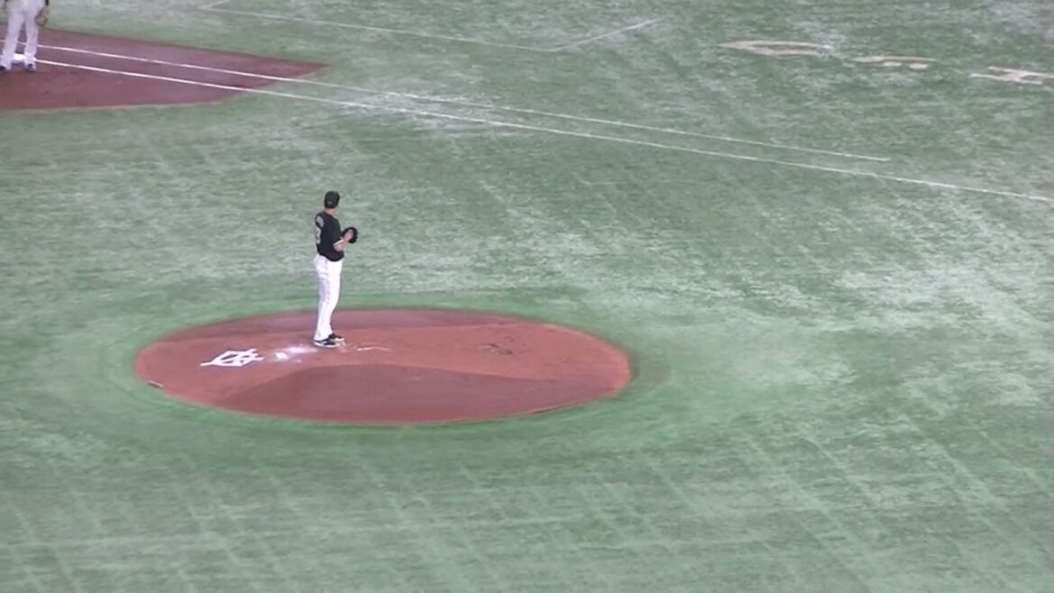 吉川尚輝をショートゴロに打ち取る西野勇士（2024年6月6日 読売ジャイアンツ対 千葉ロッテマリーンズ）