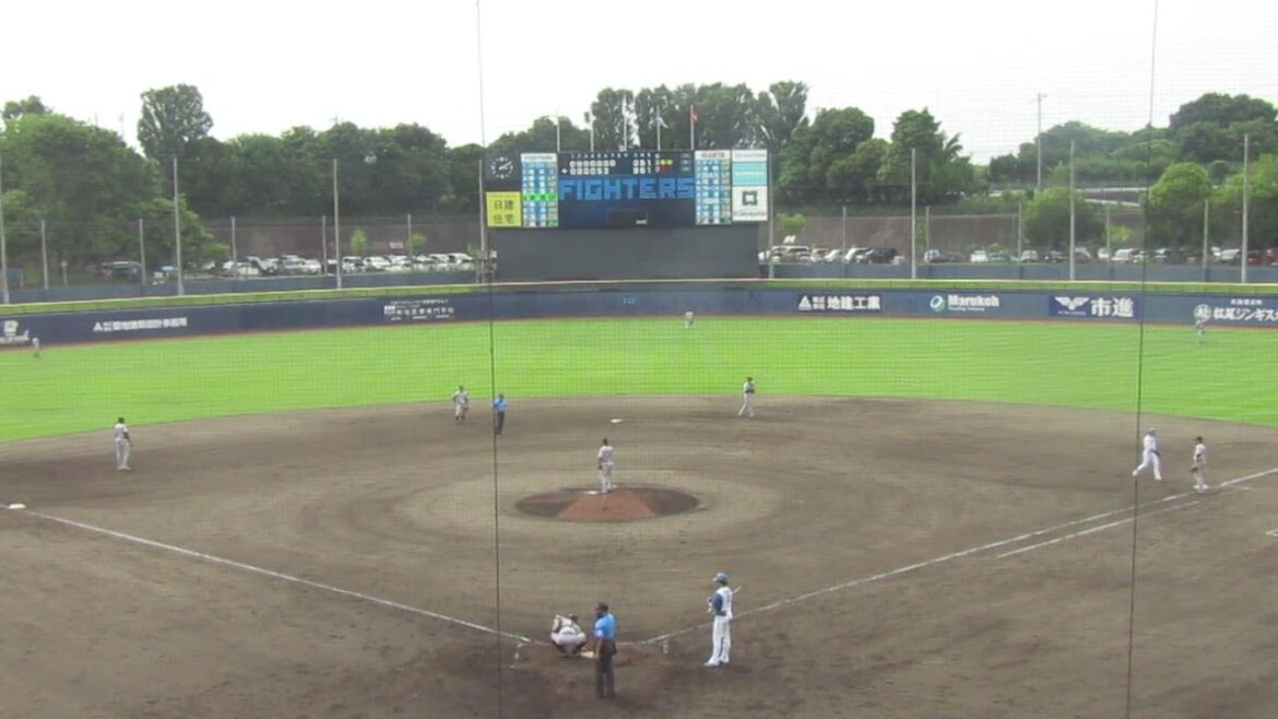 ファイターズ淺間大基を三振にとる近藤大亮＜日本ハムファイターズ対 読売ジャイアンツ2024年6月25日＞