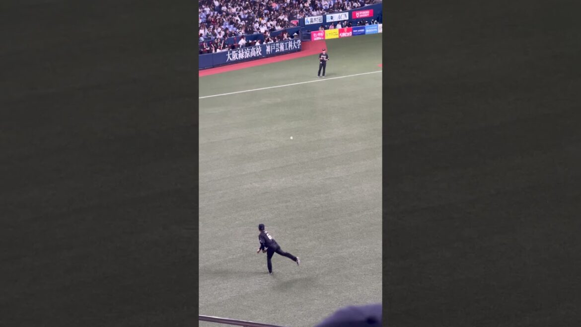 【オリックス】茶野篤政選手 廣岡大志選手 キャッチボール オリックスバファローズ