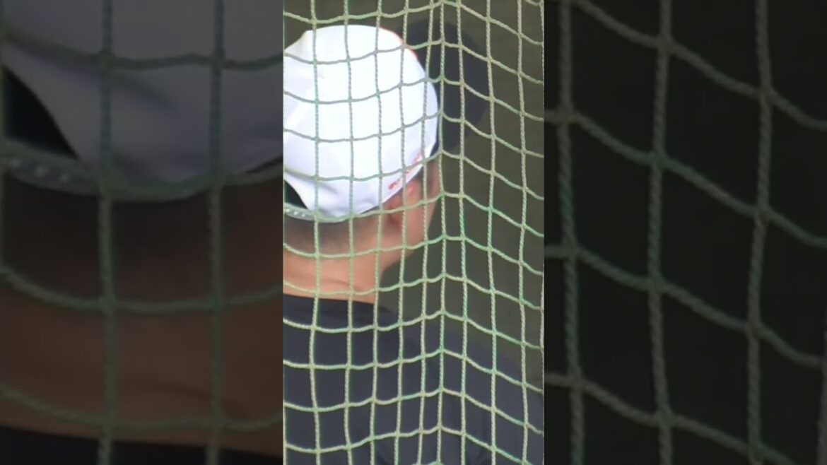 内海さんに報告や今のは(≧∀≦)#井上温大 #坂本勇人