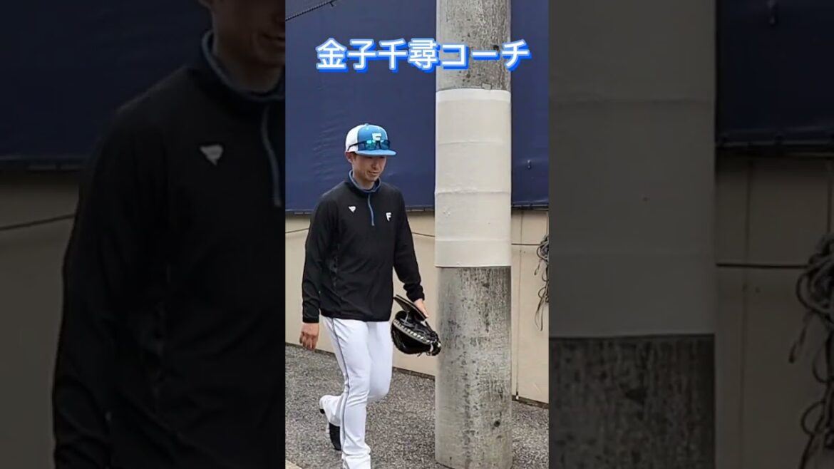 【FIGHTERS】 #金子千尋 ピッチングコーチ #shorts #北海道日本ハムファイターズ #fighters #プロ野球