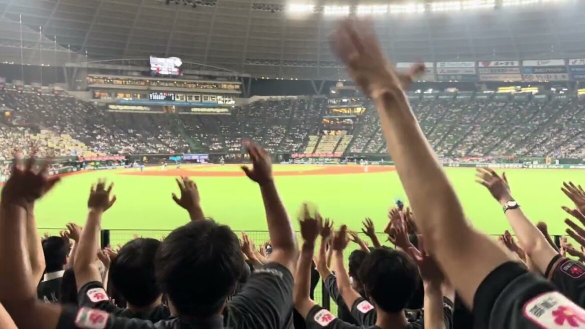 安田尚憲応援歌  2024/7/5(金) ライオンズ vs ロッテ #chibalotte