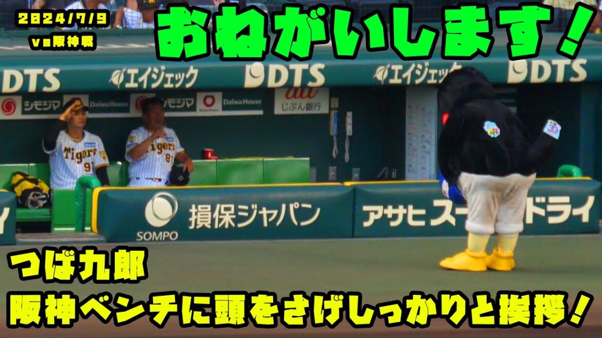 つば九郎　平田ヘッドなど阪神ベンチに頭さげてしっかりと挨拶！　2024/7/9 vs阪神