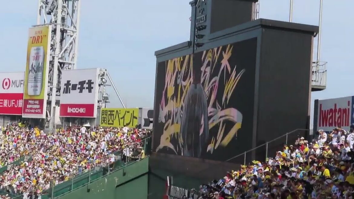 阪神タイガース　石井大智　登場曲（高橋優 HIGH FIVE）　＠甲子園　20240518