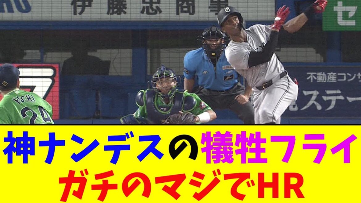 巨人・ヘルナンデス、犠牲フライの予定がホームランに！ガチのマジでヤバすぎるとなんj民とプロ野球ファンの間で話題に【なんJ反応集】