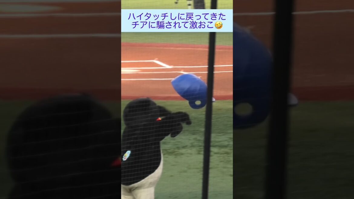 チアに騙されてヘルメット投げつけるつば九郎