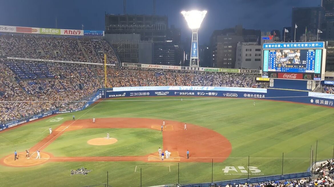 2024年 横浜DeNA 佐野恵太 登場曲 ビートDEトーヒ/ハマいく