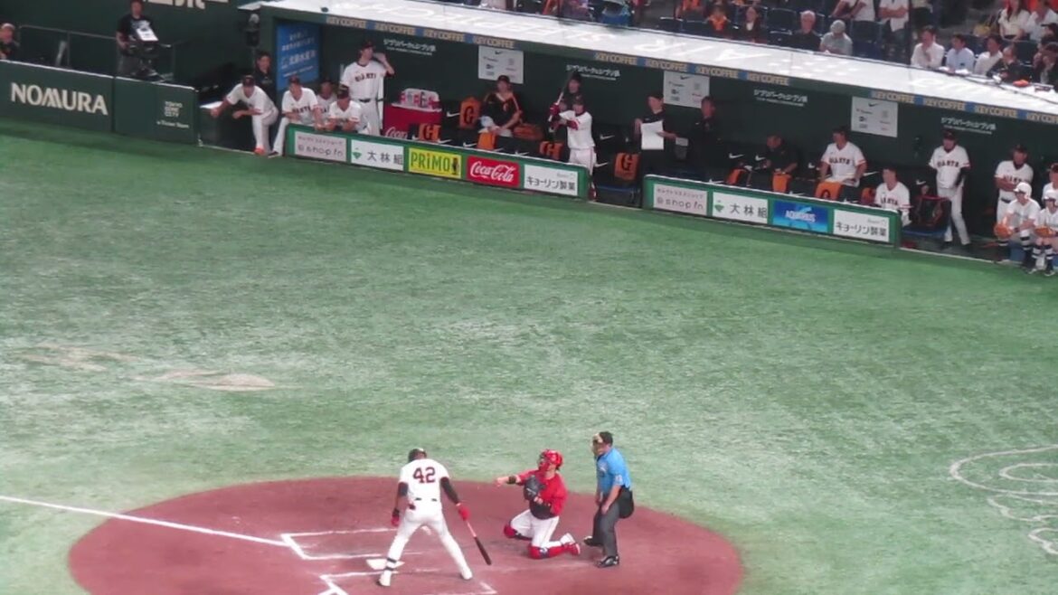 ヘルナンデスのヒットで喜ぶ小林誠司や郡拓也などベンチの様子 2024年6月28日 読売ジャイアンツ 対 広島東洋カープ