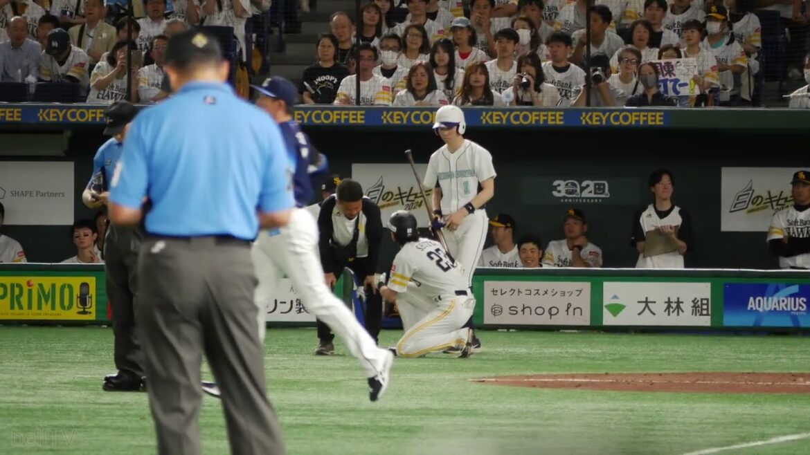 周東佑京が死球を受ける。その後、帽子をとって謝る羽田 福岡ソフトバンクホークスvs埼玉西武ライオンズ 2024.7.2白のキセキ