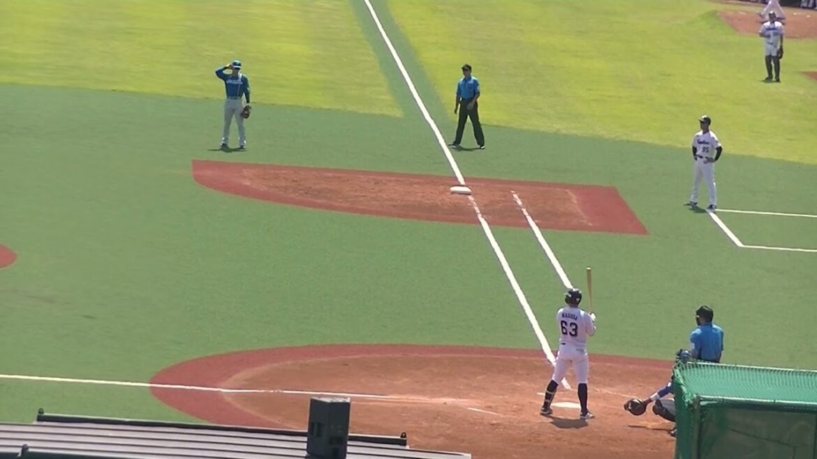 ヤクルト増田珠レフトへヒットを放つ貴（2024年6月14日 ヤクルトスワローズ対 日本ハムファイターズ）