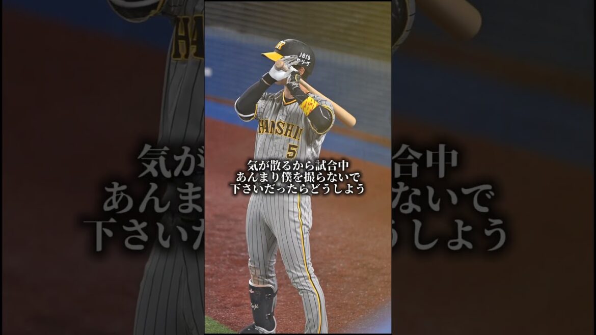 #近本光司 #阪神タイガース #阪神 #プロ野球 #プロ野球選手 #npb