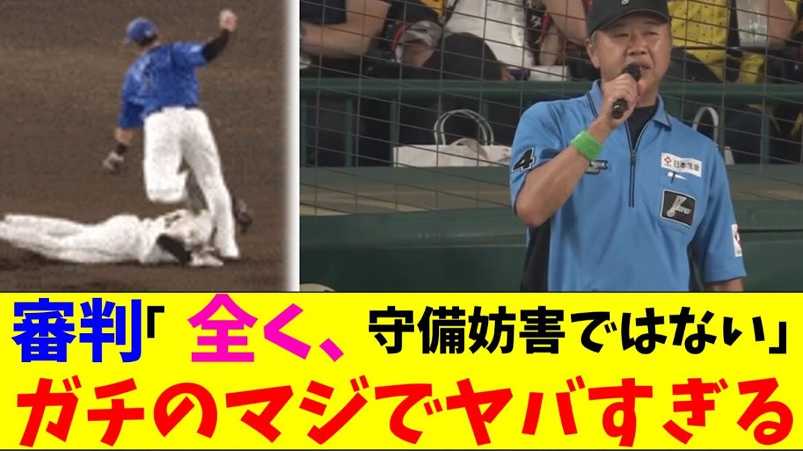 DeNA・三浦監督に審判「全く！守備妨害じゃない」がガチのマジでヤバすぎるとなんｊとプロ野球ファンの間話題にｗｗｗ【なんJ反応集】