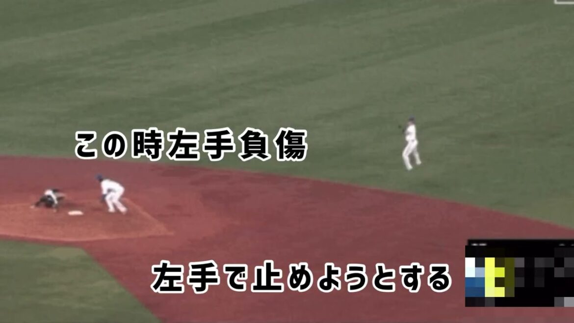 ヤクルト並木負傷