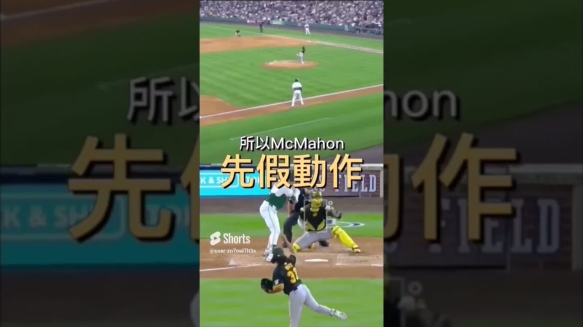 捕手再慢慢傳 就被盜本壘了