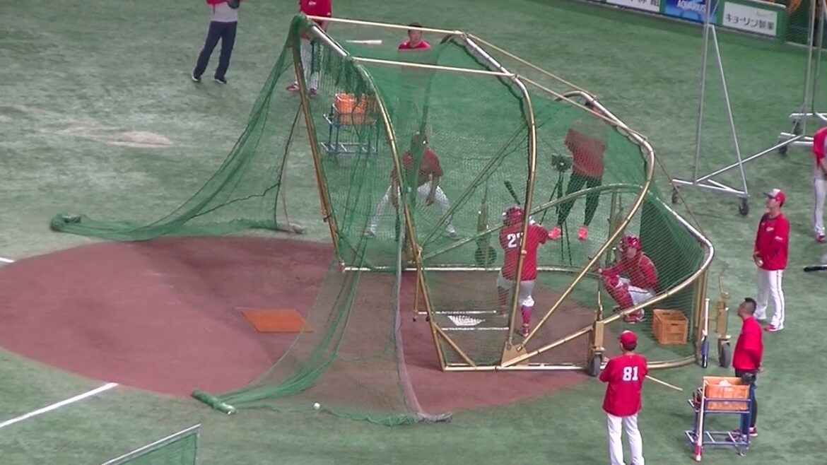 広島 會澤翼のフリーバッティング（2024年6月28日読売ジャイアンツ対 広島カープ）