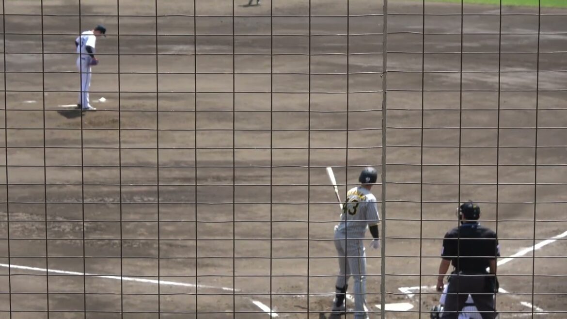 阪神タイガース 髙濱祐仁選手 第1打席 フォアボール 四球 2024/4/19 ちゅーるスタジアム VS くふうハヤテベンチャーズ 奥田域太投手