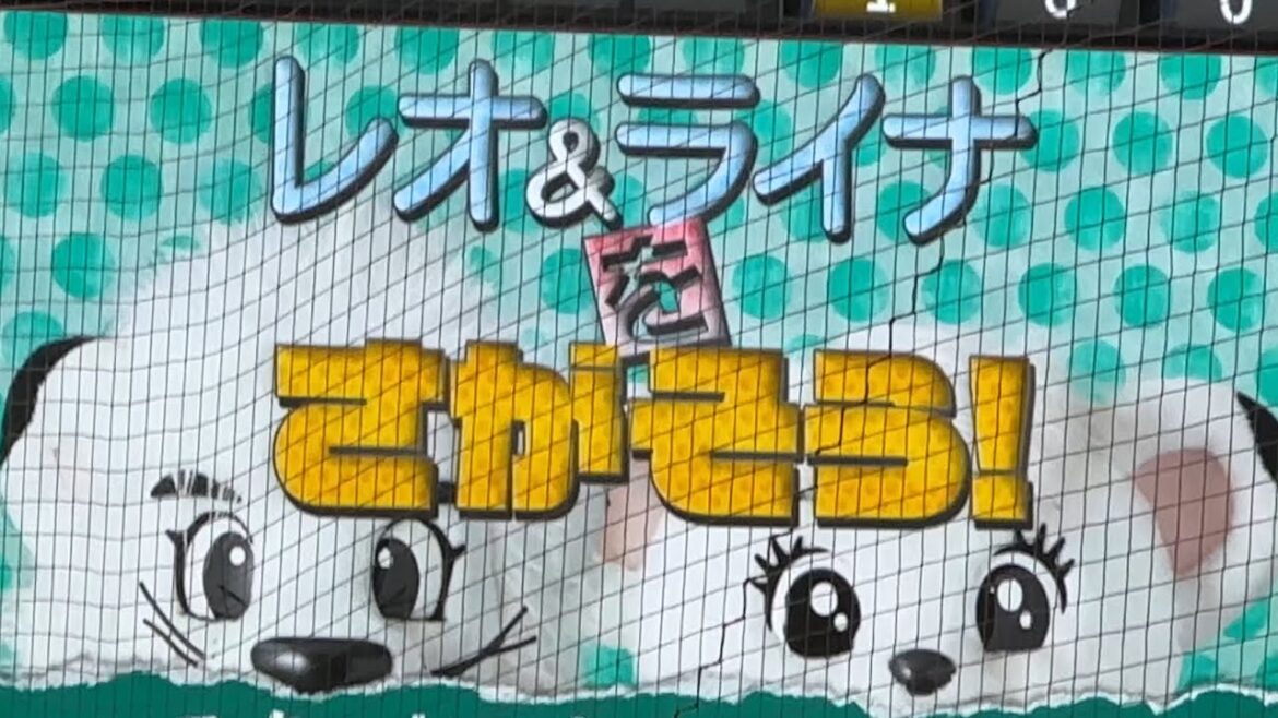 【レオ＆ライナをさがそう！】 0.5秒で見つかるライナと、あまりに意外な場所に隠れる？ レオ【西武vs 日本ハム】2024/7/2 ファーム