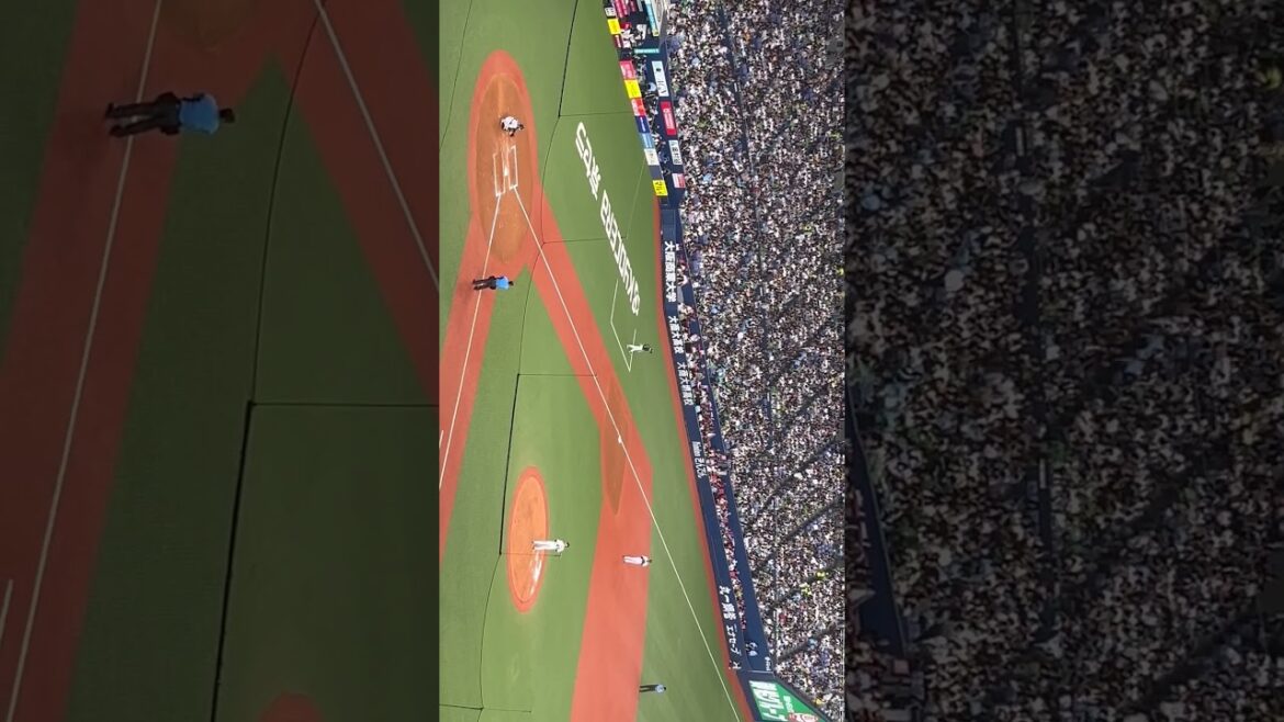 【本田仁海投手】オリックスバファローズ 大阪代表バファローズ高校