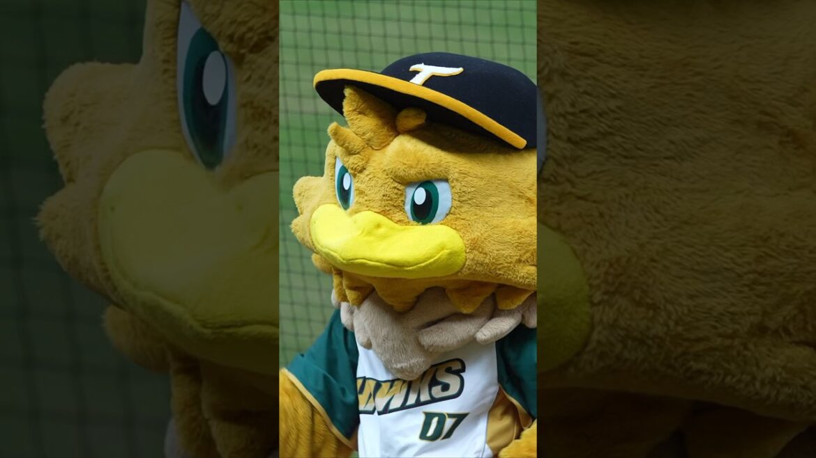 王柏融耍帥漏接棒子 TAKAO雞柳條應援 #台鋼雄鷹 #啦啦隊