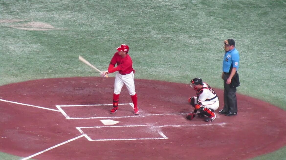 【広島カープ】田中広輔の打撃フォーム    2024年6月28日 読売ジャイアンツ 対 広島東洋カープ