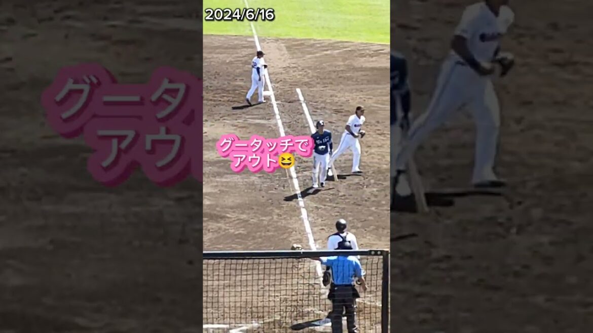 【2024/6/16】 #金子侑司 自らグータッチでアウトになる😆 #shorts #郡拓也 #戸田懐生 #ジャイアンツ #ライオンズ #プロ野球