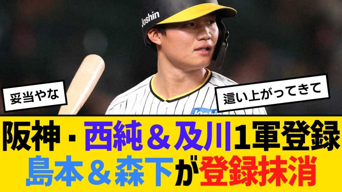 阪神・西純＆及川1軍登録、島本＆森下が登録抹消　【ネットの反応】【反応集】