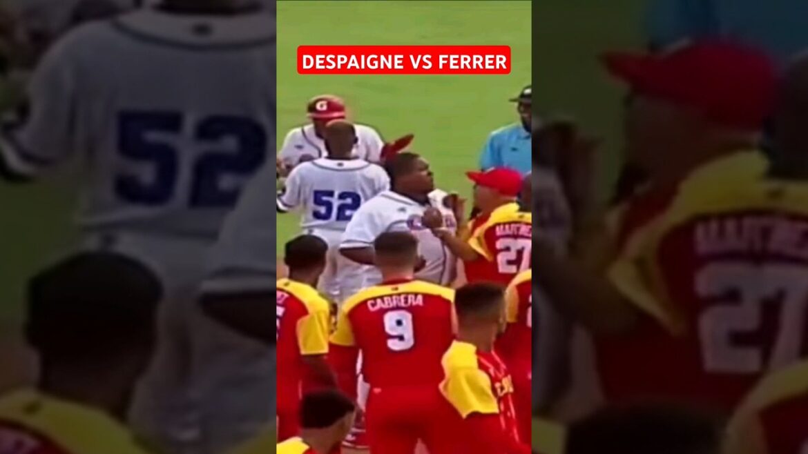 Alfredo Despaigne casi GOLPEA a Armando Ferrer director de Matanzas #beisbolcuba #cuba