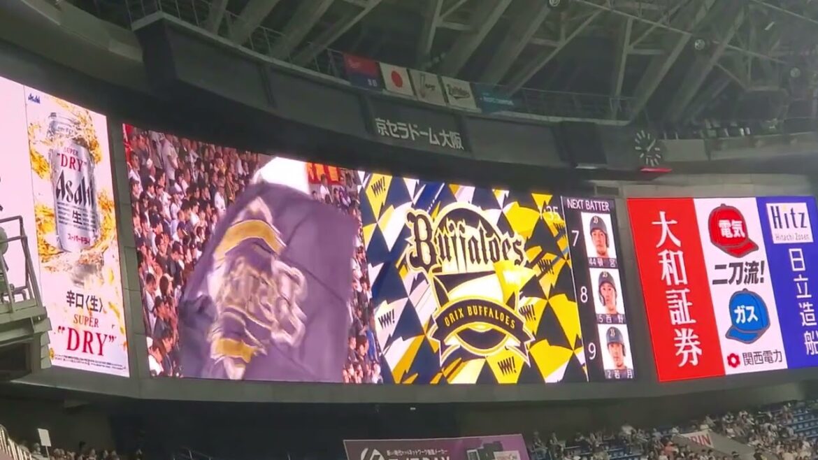 20240602　叶うべき夢の先へ♪ ﾗｲﾄｽﾀﾝﾄﾞから流れる【讃丑歌】5回ｳﾗ攻撃前　ｵﾘｯｸｽ･ﾊﾞﾌｧﾛｰｽﾞのﾁｰﾑ応援歌@京ｾﾗﾄﾞｰﾑ大阪･ﾚﾌﾄ外野下段