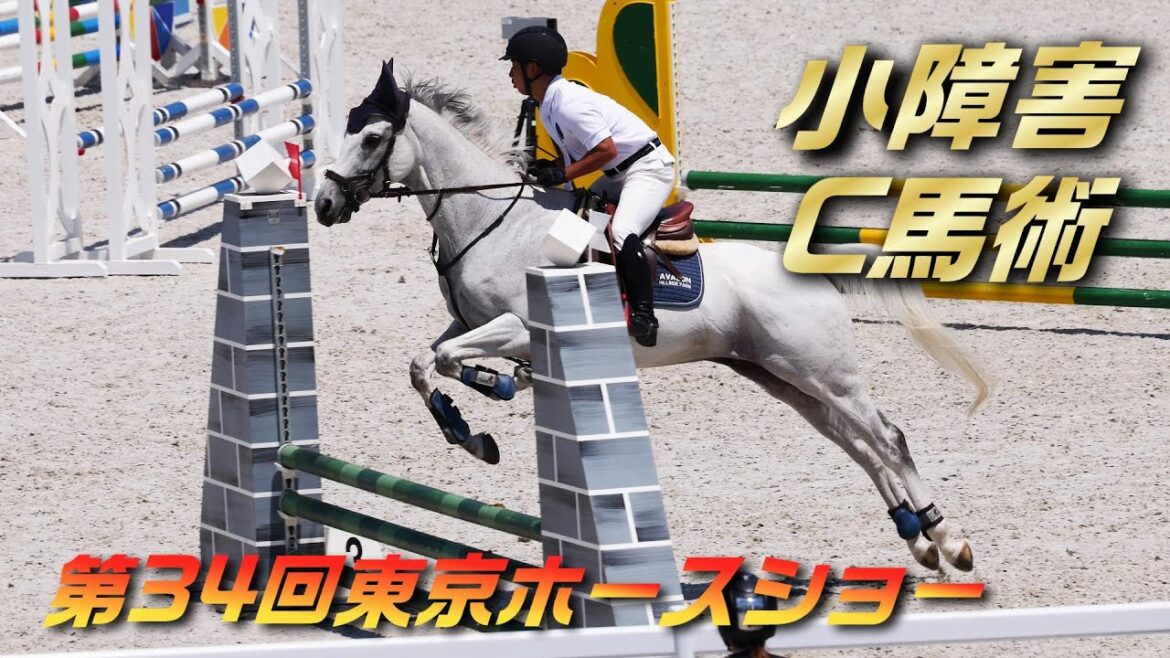 第34回東京ホースショー第3競技 小障害C馬術競技の全て 2024/6/15 JRA馬事公苑