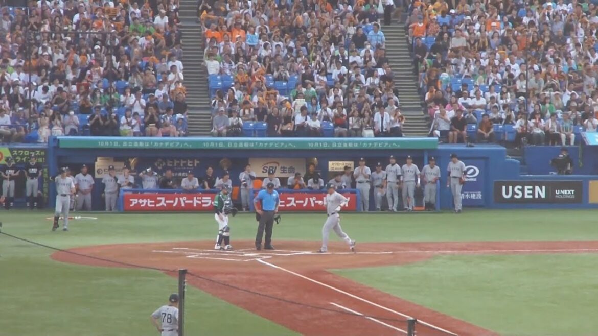 読売ジャイアンツ 1回表 一挙4点の猛攻　岡本和真の2点タイムリーヒット、大城卓三の2ランホームランなど　ヤクルト vs 巨人　2024年7月7日(日) 神宮球場