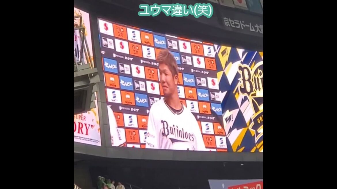 20240710【現地】ユウマ違い…頓宮裕真がなぜか宗佑磨と呼ばれてしまう　#shorts　ｵﾘｯｸｽ･ﾊﾞﾌｧﾛｰｽﾞ@京ｾﾗﾄﾞｰﾑ大阪･ﾚﾌﾄ外野下段