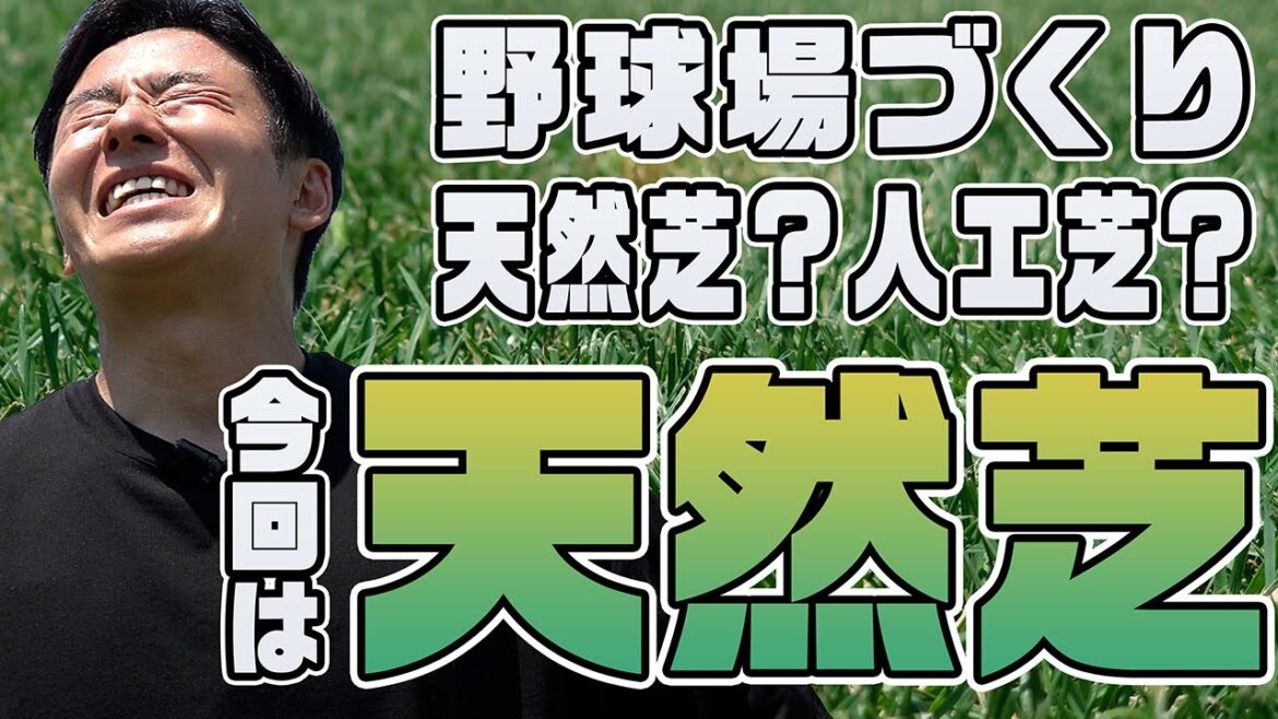 【天然芝のヒミツ】野球場にピッタリの芝とは？芝のスペシャリストに学ぶ！
