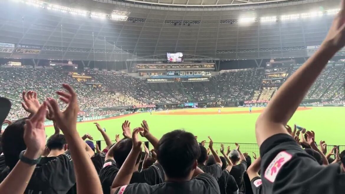 藤岡裕大応援歌→フォアボール 2024/7/5(金) ライオンズ vs ロッテ #chibalotte 藤岡裕大応援歌→フォアボール 2024/7/5(金) ライオンズ vs ロッテ #chibalotte