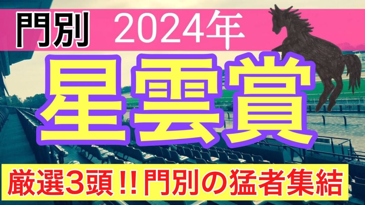 【星雲賞2024】地方競馬予想(2024年競馬予想258戦160的中)