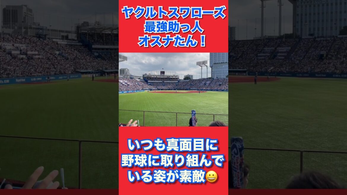 オスナたんはいつも野球に真面目に取り組んでて素晴らしいよね😀打点もしっかり稼いでいるし守備でも貢献してくれてる! #swallows #ヤクルト #スワローズ #オスナ #ヤり返せ #神宮球場 オスナたんはいつも野球に真面目に取り組んでて素晴らしいよね😀打点もしっかり稼いでいるし守備でも貢献してくれてる! #swallows #ヤクルト #スワローズ #オスナ #ヤり返せ #神宮球場